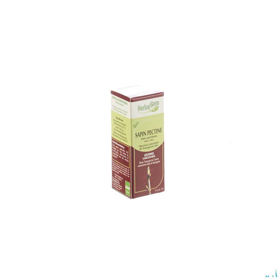 Herbalgem Zilverspar Maceraat 15 ml  -  Herbalgem