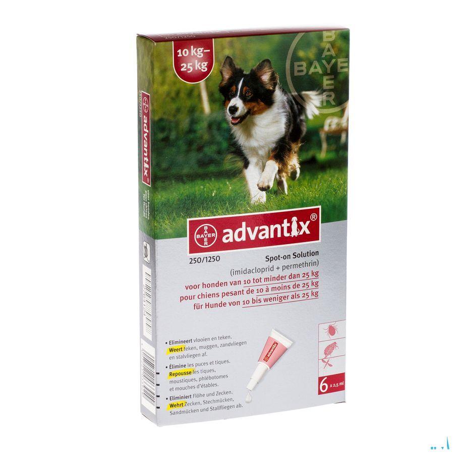 Advantix 250/1250 Honden 10