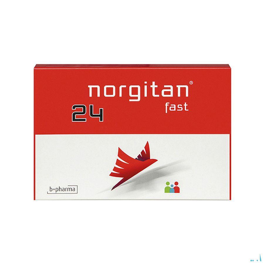 Norgitan Fast 24 Tabletten 24