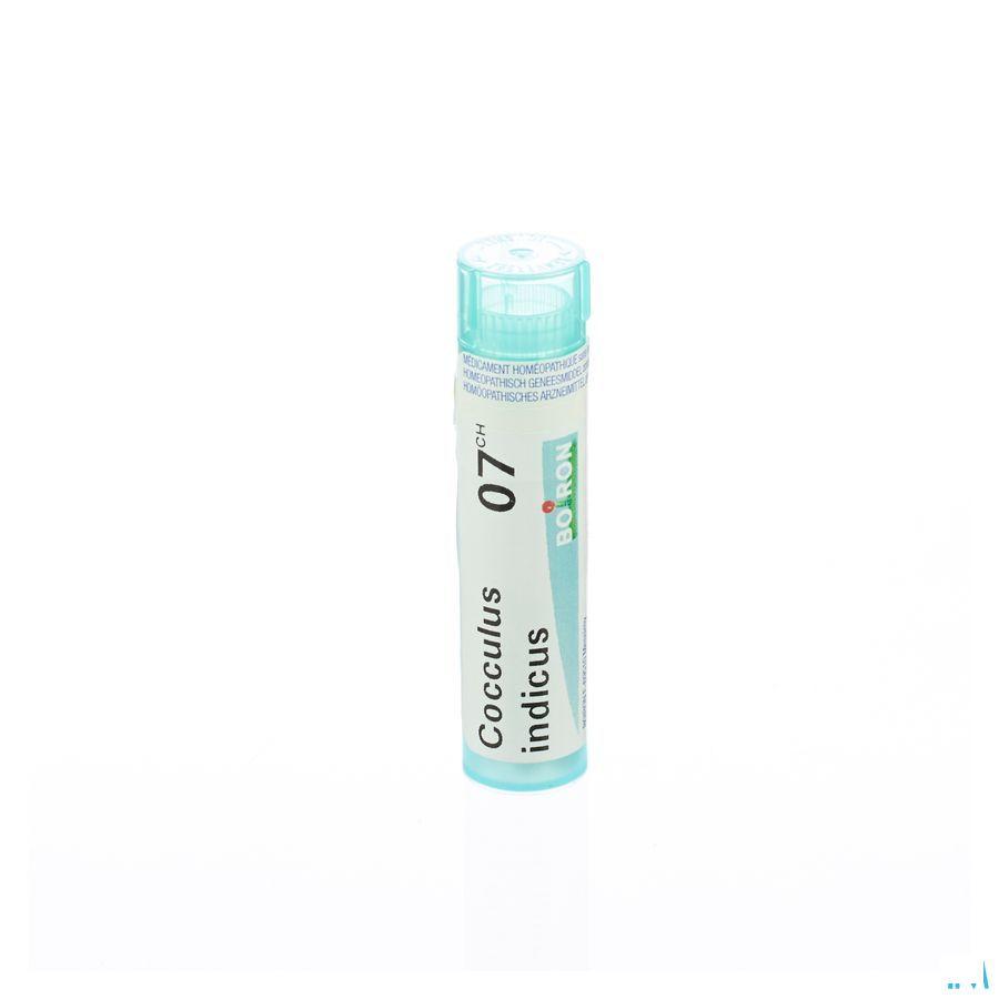 Cocculus Indicus 7CH Gr 4g  -  Boiron