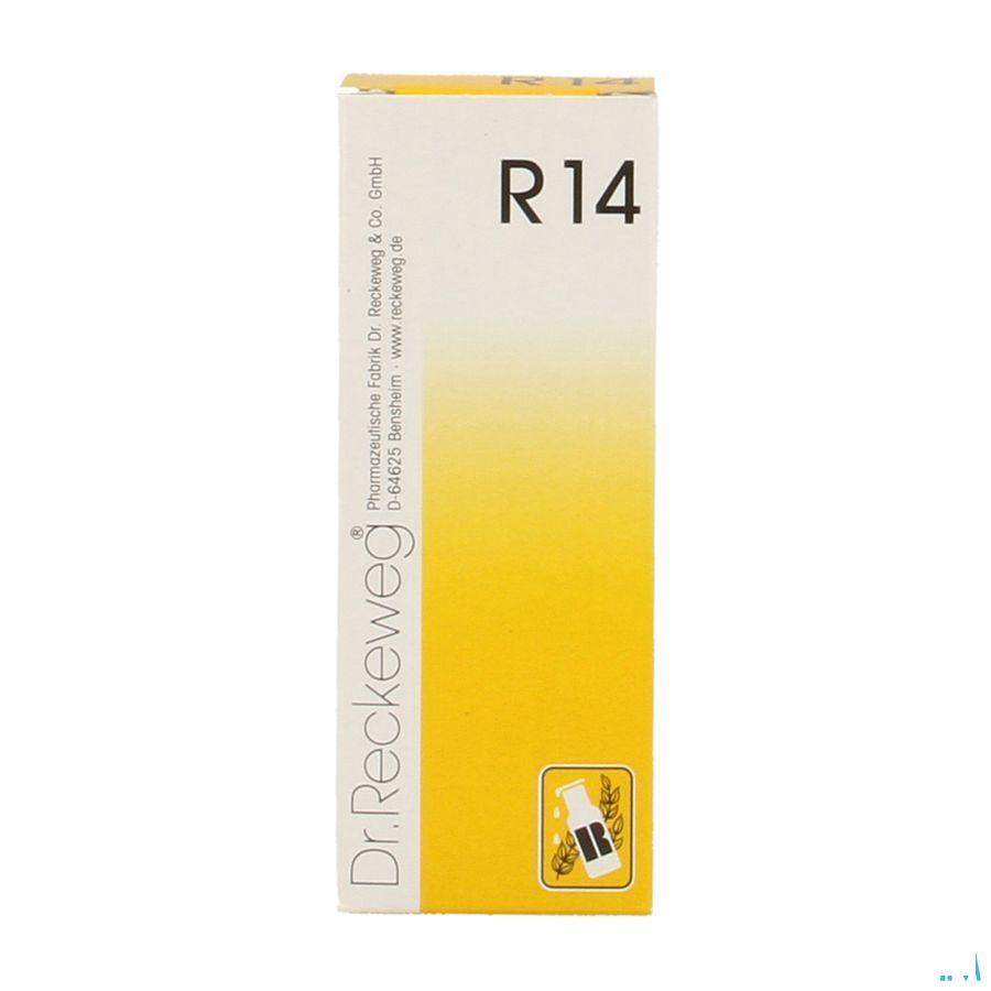 Reckeweg Dr. R14 Druppels 50 ml  -  Nut-Hom-Phyt