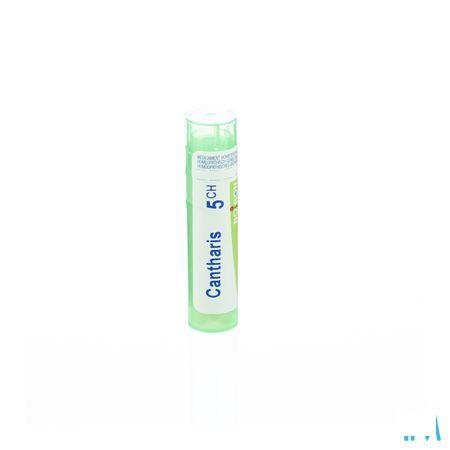 Cantharis 5CH Gr 4g  -  Boiron