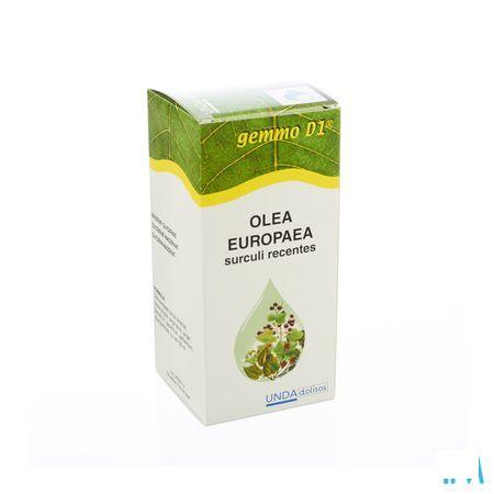 Olea Europaea Gemmo D1 125 ml  -  Boiron