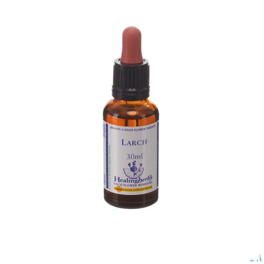 Healing Herbs Larch 30 ml