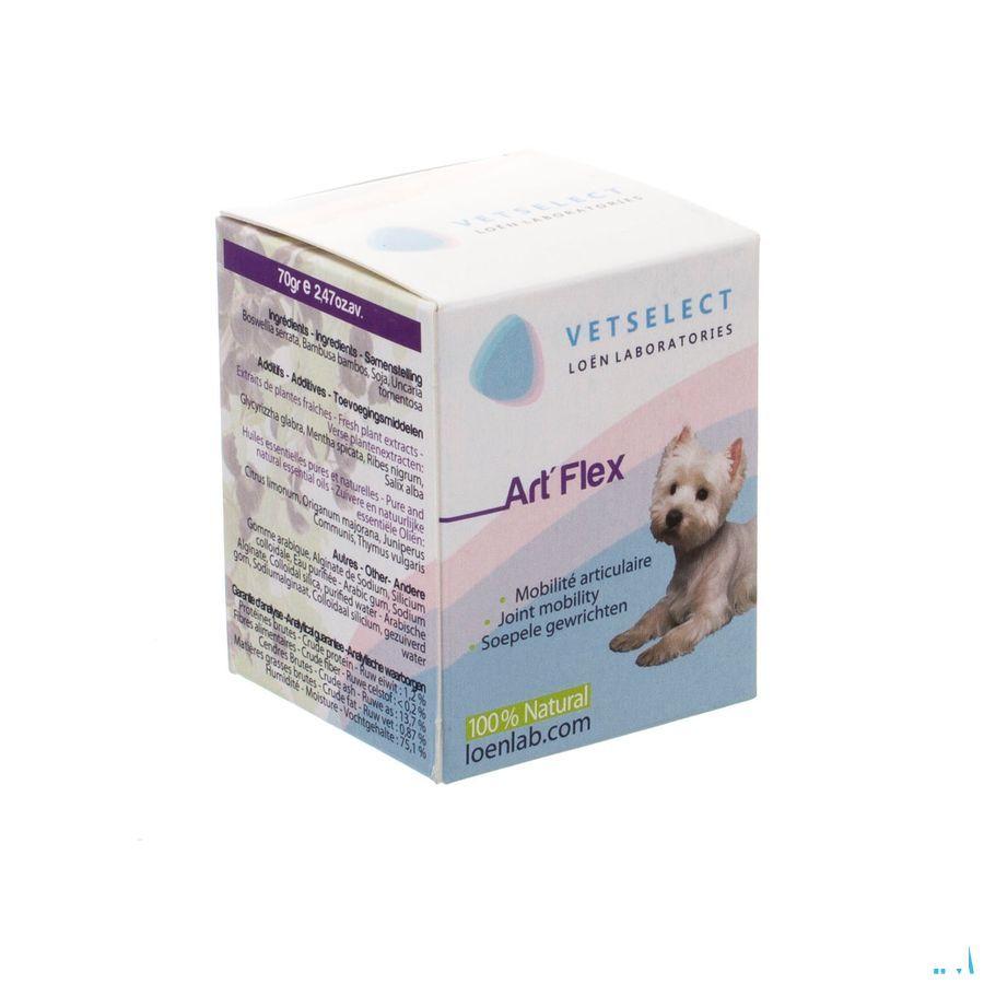 Vetselect Art-flex 70 gr  -  Loen Laboratories Europe