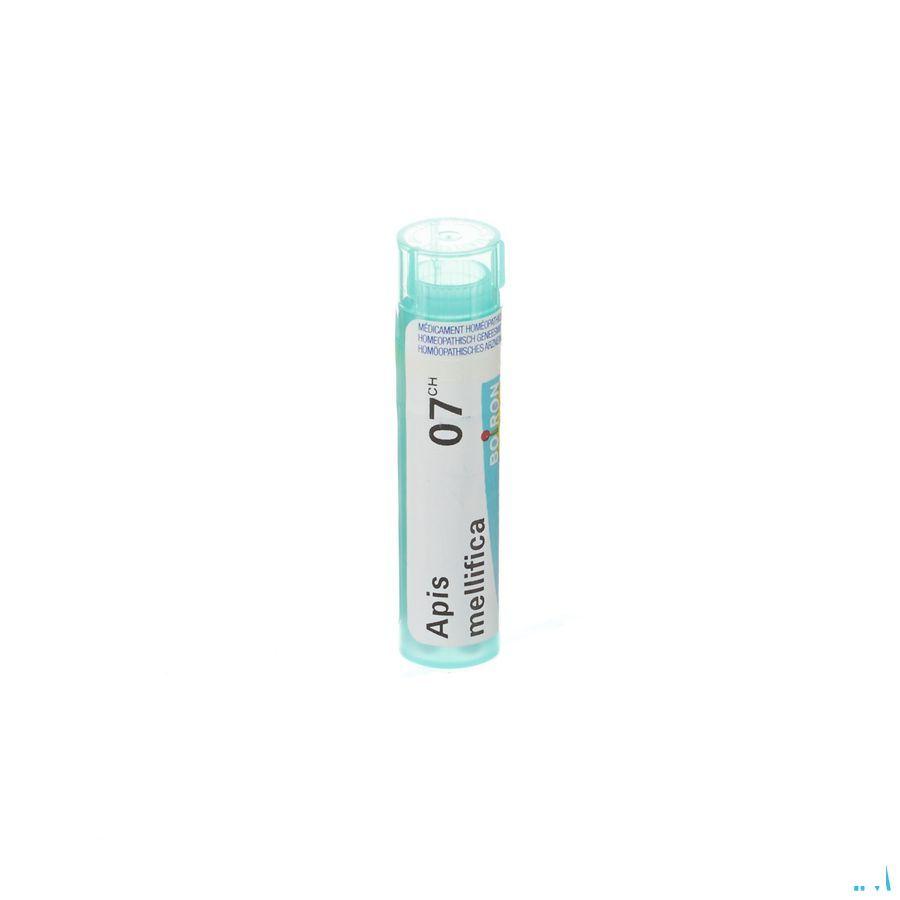 Apis Mellifica 7CH Gr 4g  -  Boiron