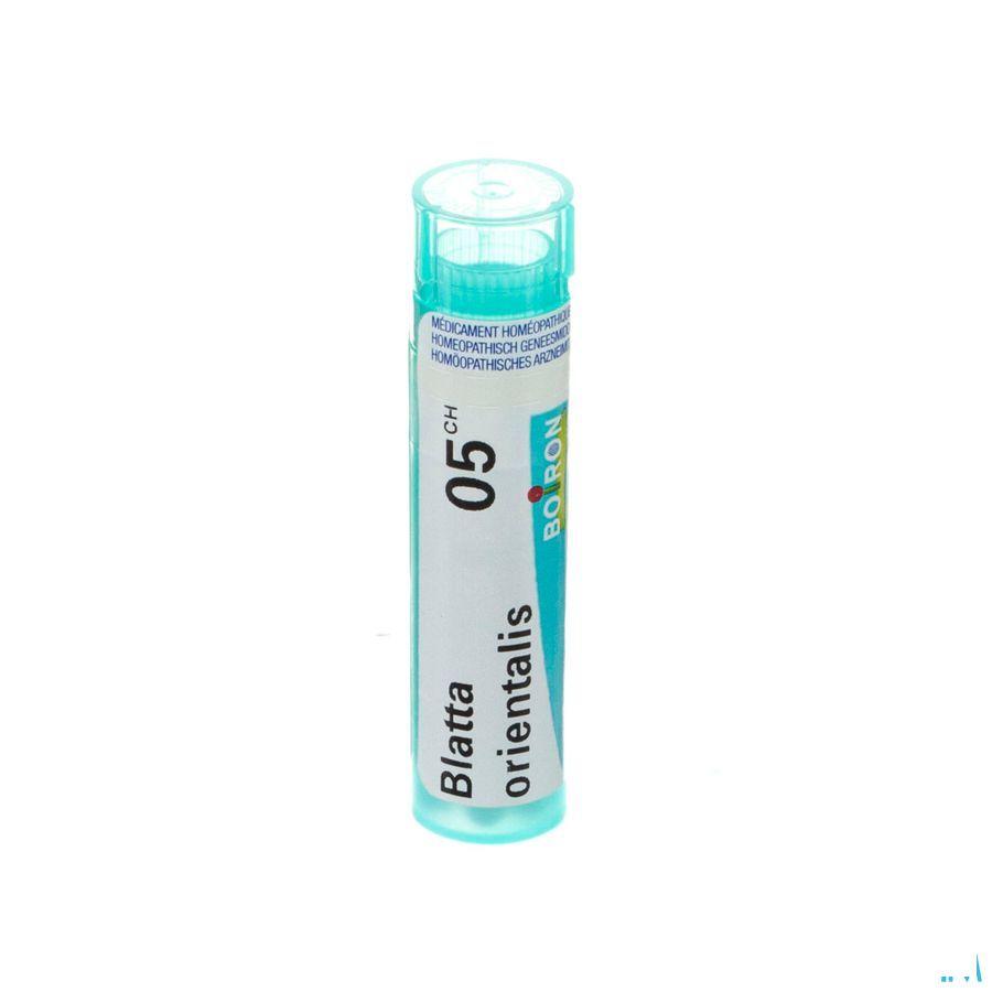 Blatta Orientalis 5CH Gr 4g  -  Boiron