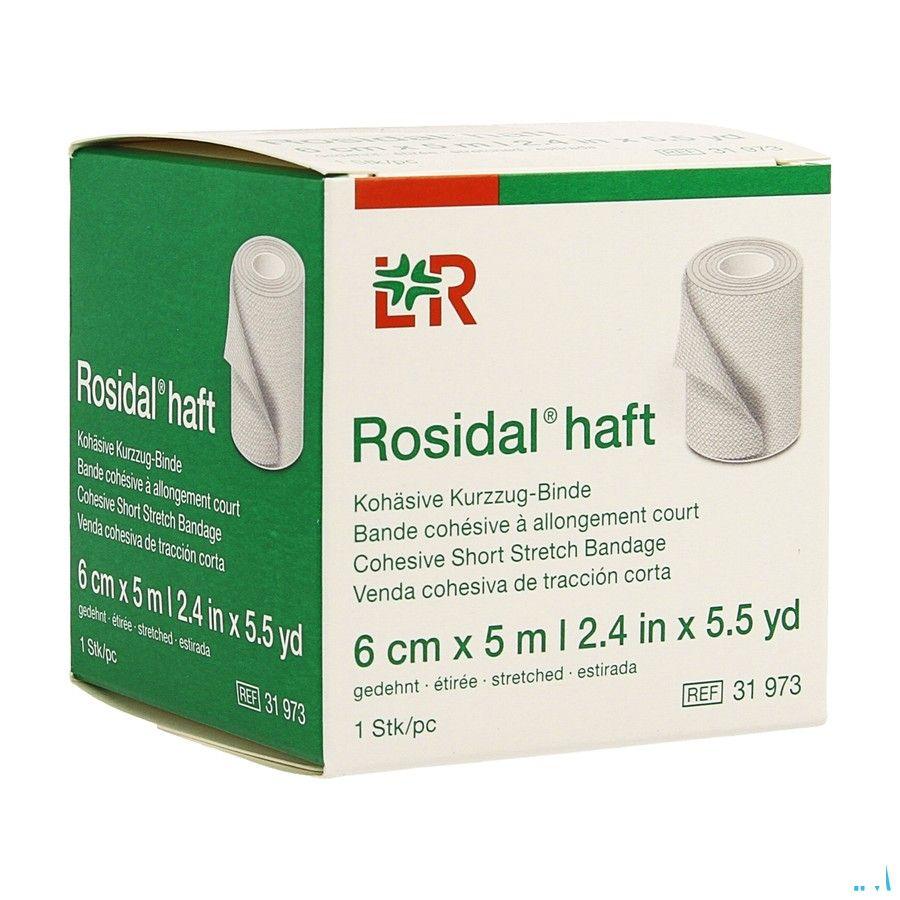 Rosidal Haft Cohesieve Windel 6cmx5m 1 31973  -  Lohmann & Rauscher