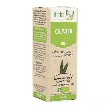 Herbalgem Olijfboom Maceraat 15 ml  -  Herbalgem