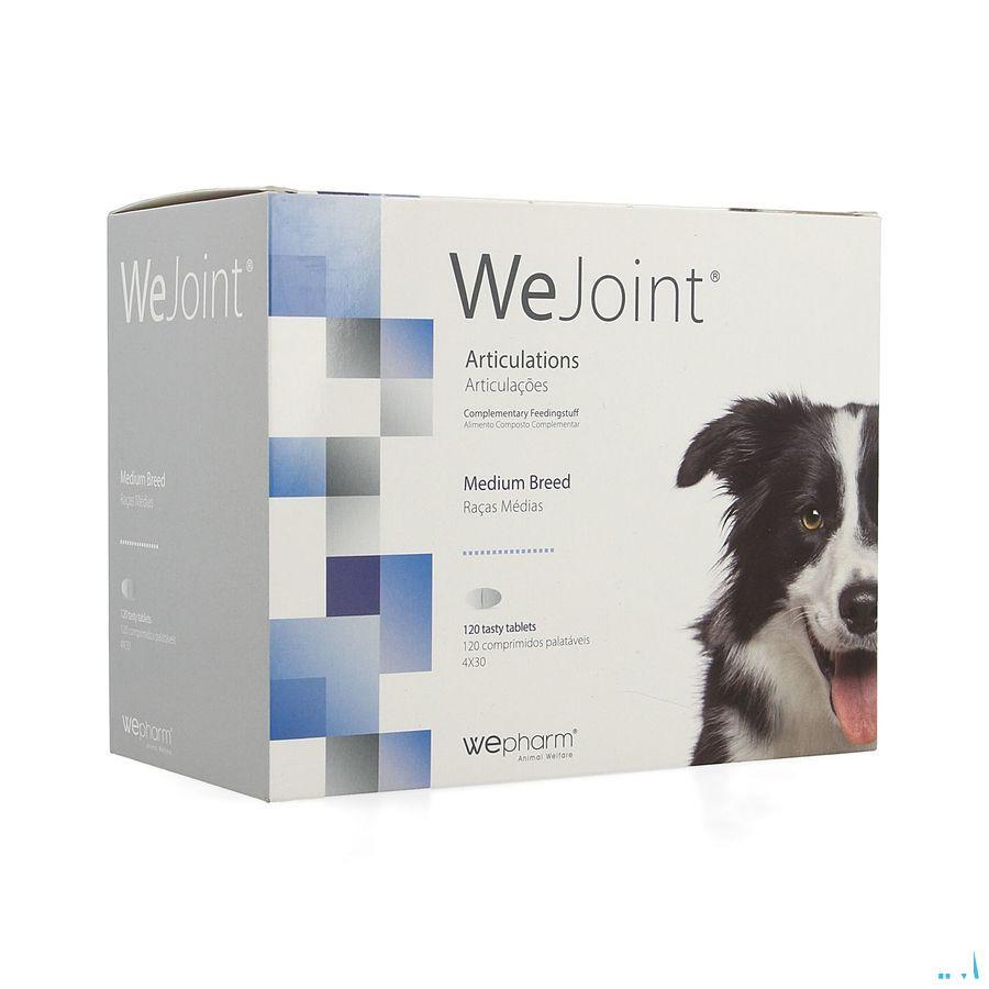 Wejoint Medium Breed Tabl 4X30