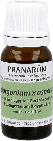 Geranium Egypte Essentiele Olie 10 ml  -  Pranarom