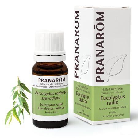 Eucalyptus Radiata Huile Essentielle 10 ml  -  Pranarom