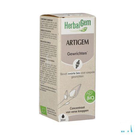 Herbalgem Artigem Bio 30 ml