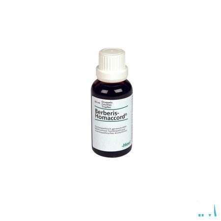 Berberis-homaccord Druppels 30 ml  -  Heel