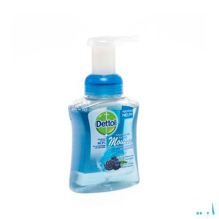 Dettol Healthy Touch Mss Gel Lav.baies Sauv. 250 ml
