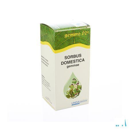 Sorbus Domest. Gemmo D1 125 ml  -  Boiron