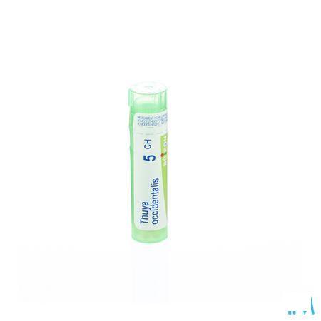 Thuya Occidentalis 5CH Gr 4g  -  Boiron