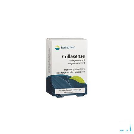 Collasense V-Capsule 60  -  Springfield Nutraceuticals