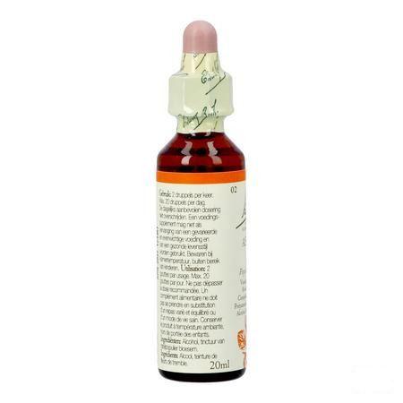 Bach Flower Remedie 02 Aspen 20 ml