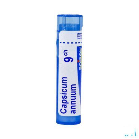 Capsuleicum Annuum 9CH Gr 4g  -  Boiron