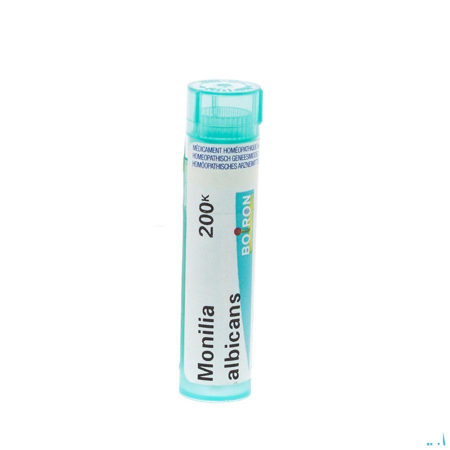 Rhus Toxicodendron 7CH Gr 4g  -  Boiron