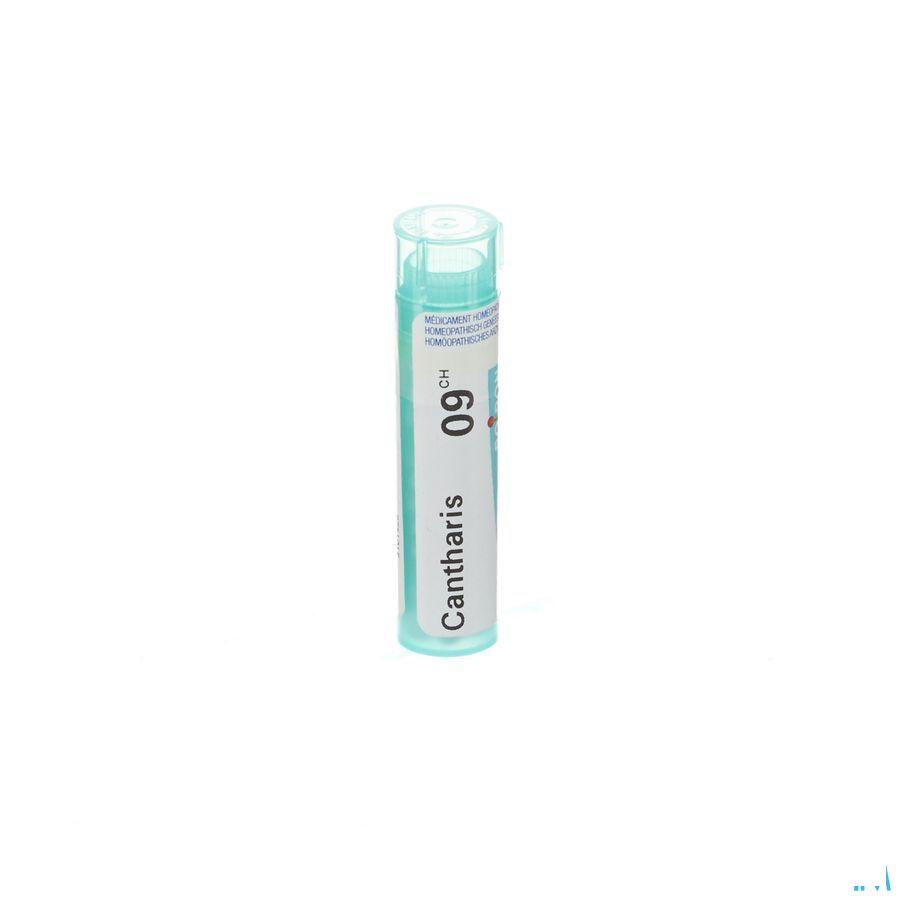 Cantharis 9CH Gr 4g  -  Boiron