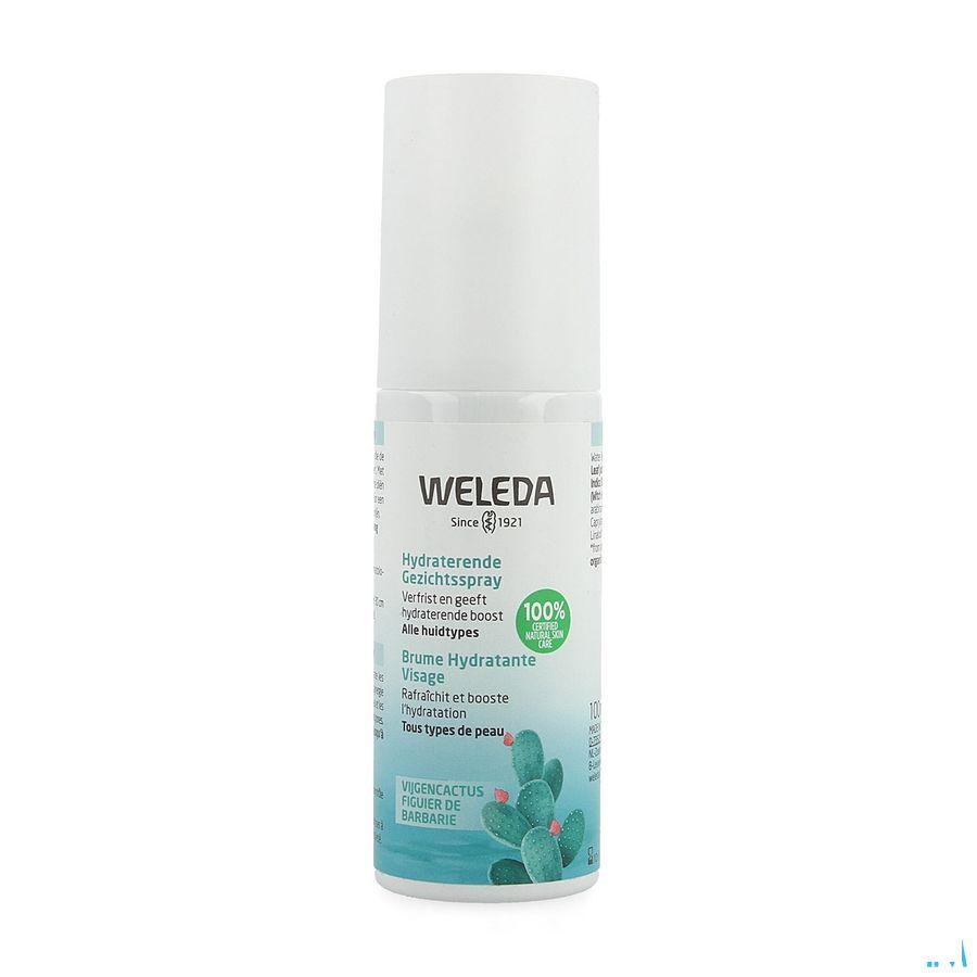Weleda Brume Hydratante Visage 24H 100 ml  -  Weleda