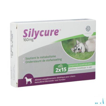 Silycure 160Mg Comp 2X15