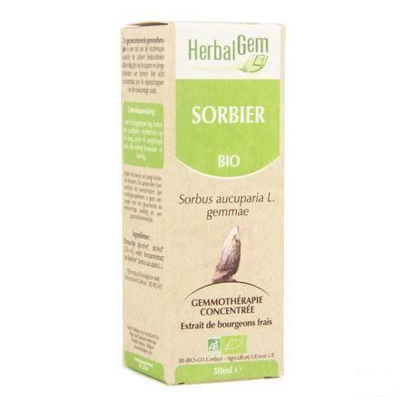 Herbalgem Lijsterbes Maceraat 50 ml  -  Herbalgem