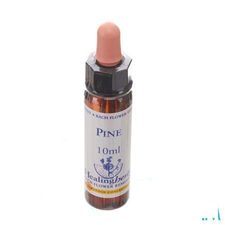 Healing Herbs Pine 10 ml
