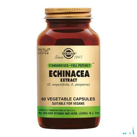 Solgar Echinacea Extract V-Capsule 60  -  Solgar Vitamins