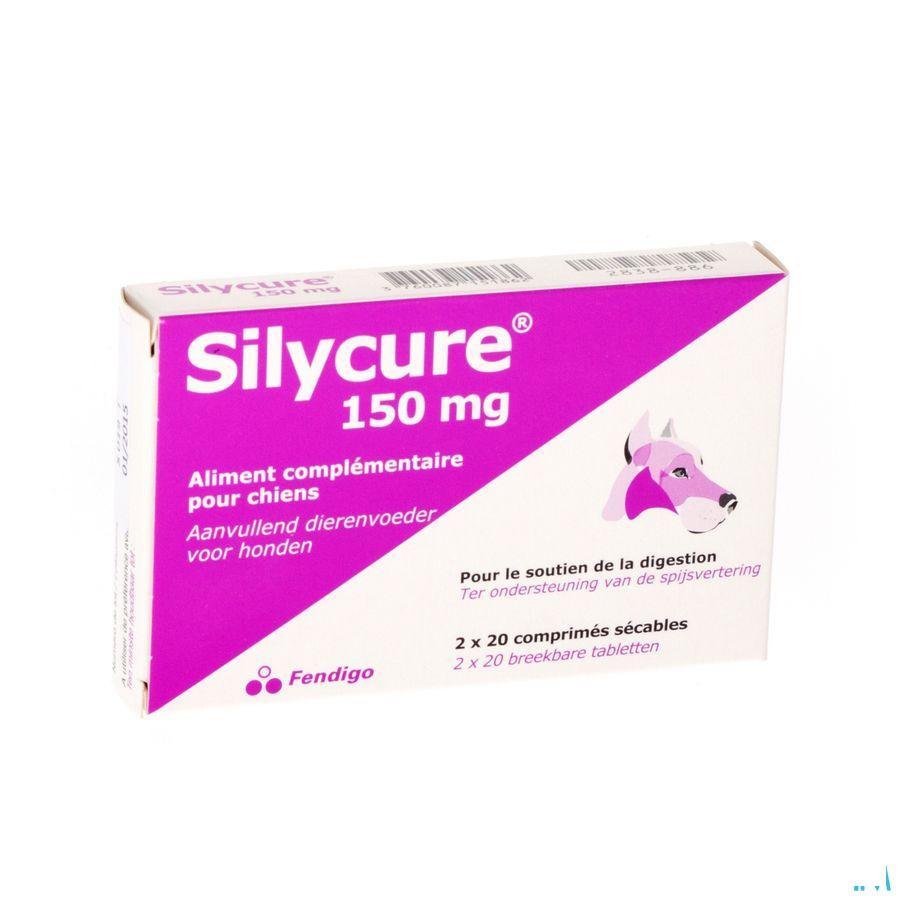 Silycure Tabletten 2x20x150 mg Blister  -  Fendigo