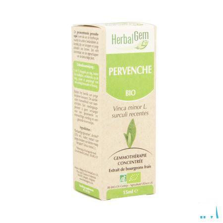 Herbalgem Maagdenpalm Maceraat 15 ml  -  Herbalgem