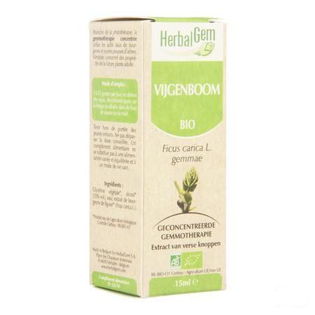 Herbalgem Figuier Macerat 15 ml  -  Herbalgem