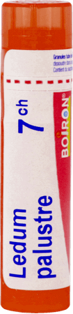 Ledum Palustre 7CH Gr 4g  -  Boiron