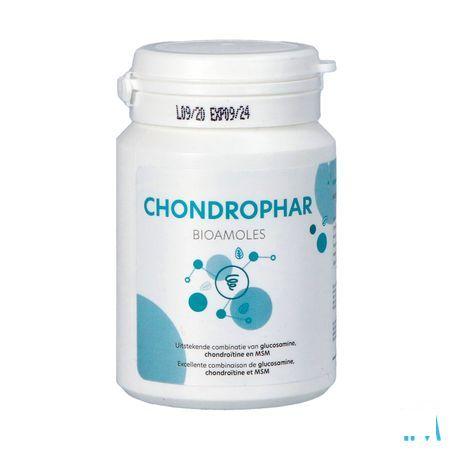 Chondrophar Pot Tabletten 60