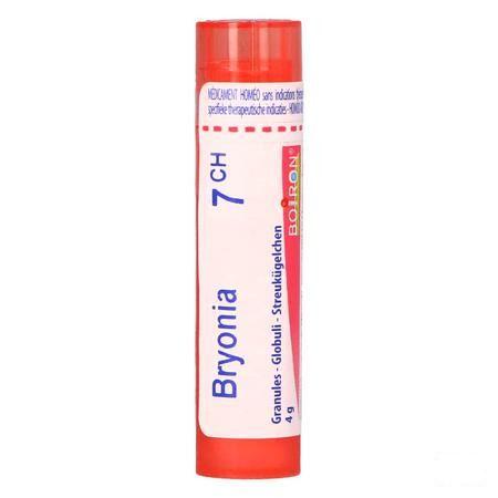 Bryonia 7CH Gr 4g  -  Boiron