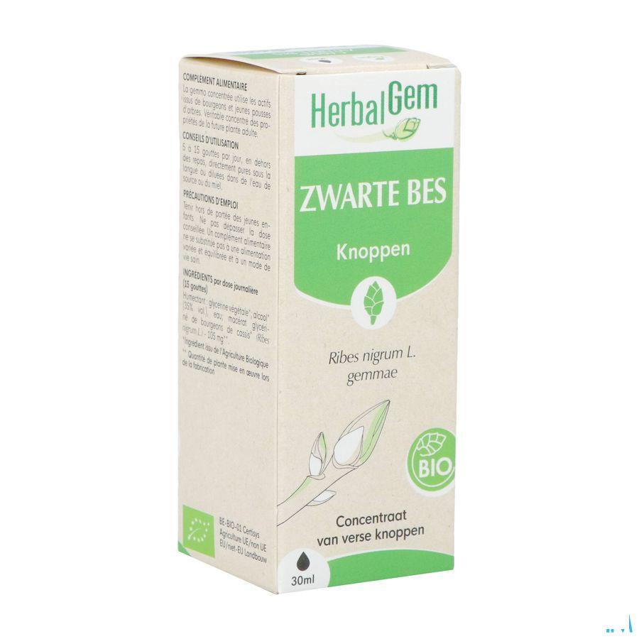 Herbalgem Cassis Macerat 30 ml  -  Herbalgem