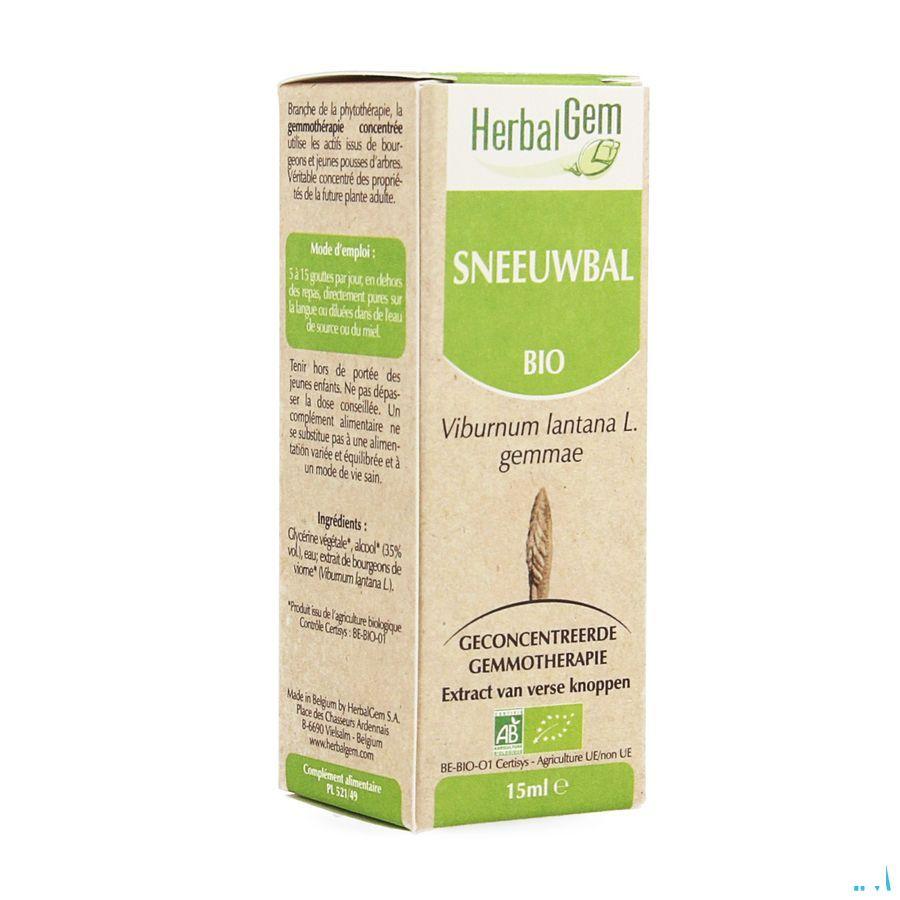 Herbalgem Wollige Sneeuwbal Maceraat 15 ml  -  Herbalgem