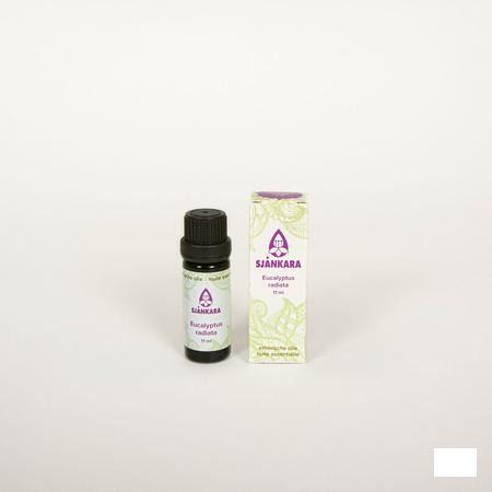 Sjankara Eucalyptus Radiata Bio Huile Essentielle 11 ml