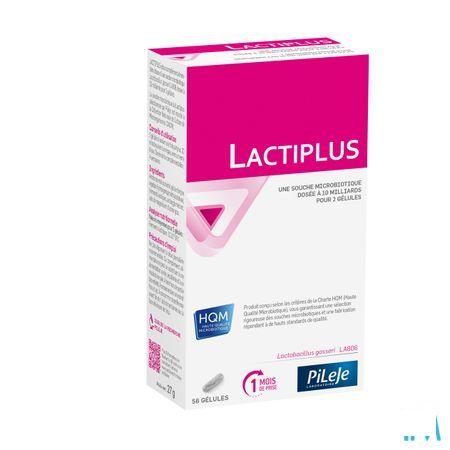 Lactiplus Caps 56  -  Pileje