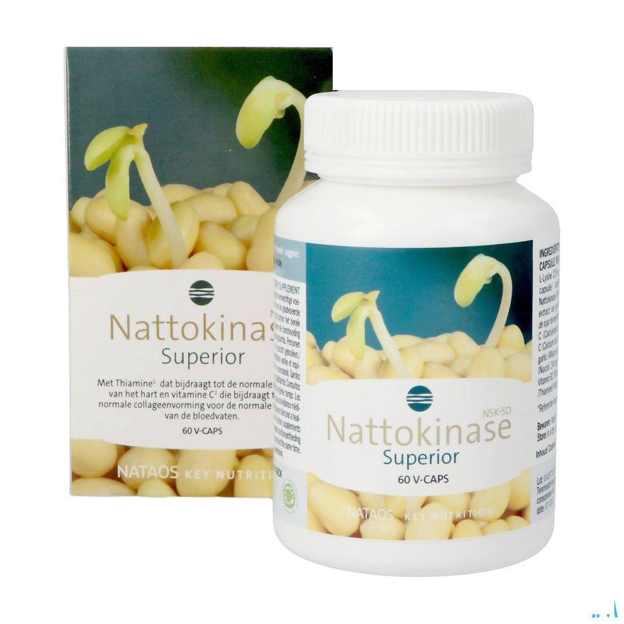 Nattokinase Nsk-Sd Caps 60X100 mg