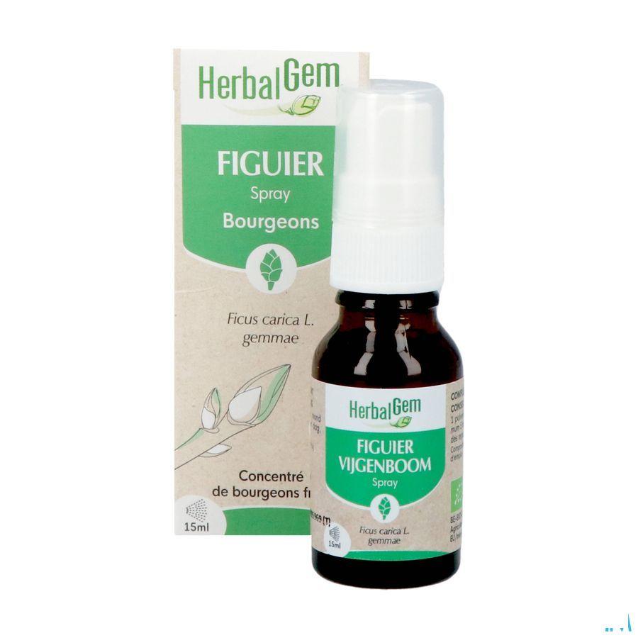 Herbalgem Figuier Bio Spray 15 ml
