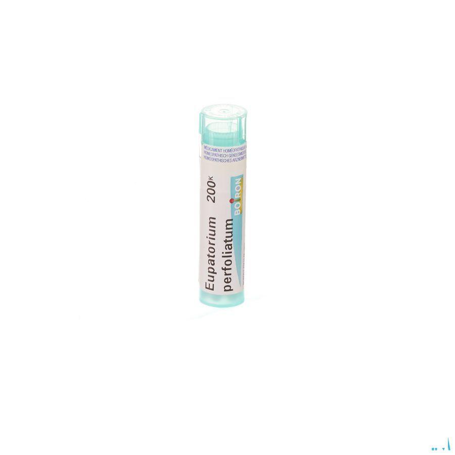 Eupatorium Perfoliatum 200K Gr 4g  -  Boiron