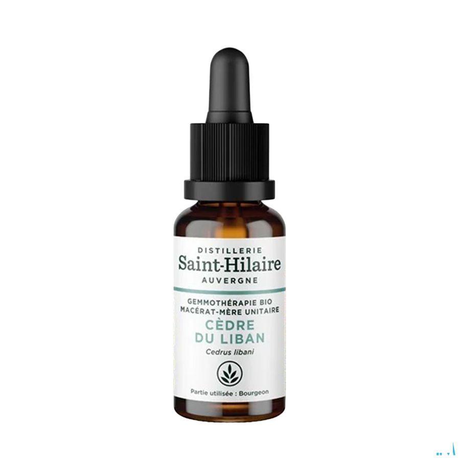 De Saint Hilaire Ceder Libanon Gemmother.Gtte 30 ml  -  Bioholistic Diffusion