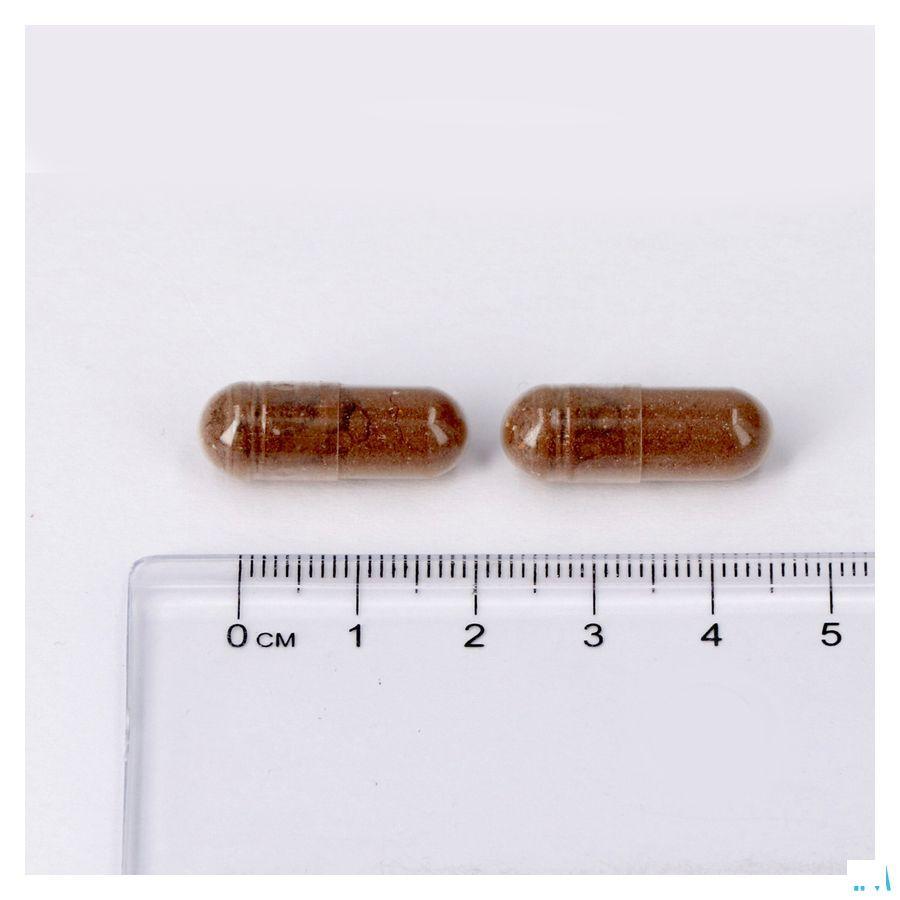 Lepivits Regluvits Caps 60