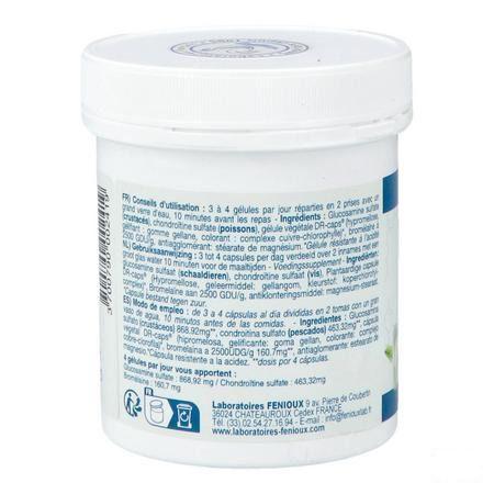 Artichondrine Gel 200  -  Fenioux