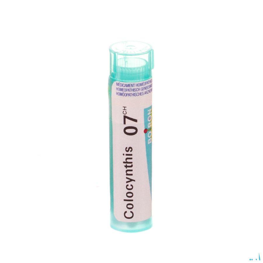 Colocynthis 7CH Gr 4g  -  Boiron