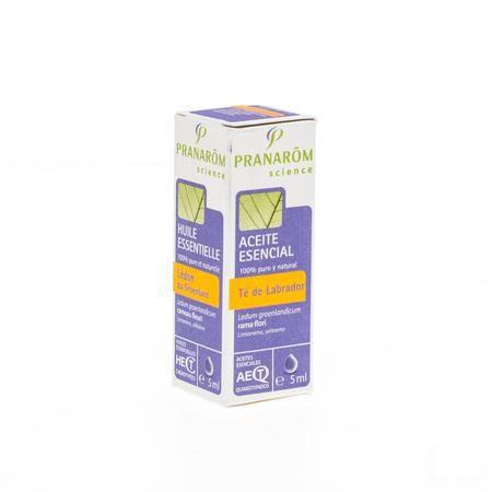 Ledon Groenland Huile Essentielle 5 ml  -  Pranarom
