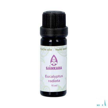 Sjankara Eucalyptus Radiata Ess. Olie Bio 11 ml